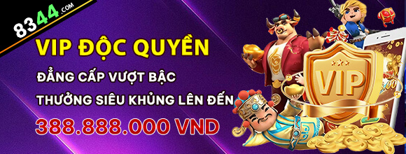 Hình ảnh quảng cáo của betvdn hiển thị nền tảng và các lợi ích