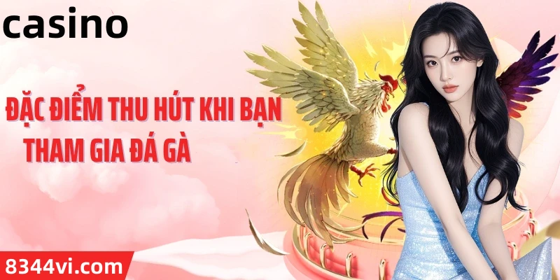 Hình ảnh quảng cáo của betvdn hiển thị nền tảng và các lợi ích