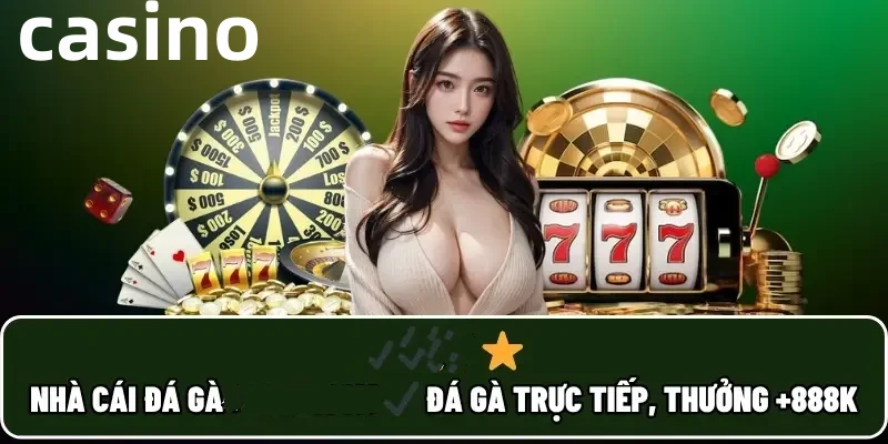 Hình ảnh quảng cáo của betvdn hiển thị nền tảng và các lợi ích