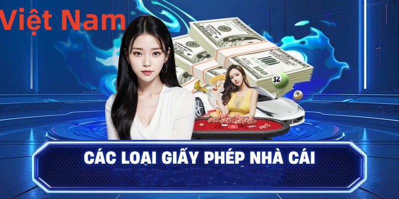 Hình ảnh quảng cáo của betvdn hiển thị nền tảng và các lợi ích