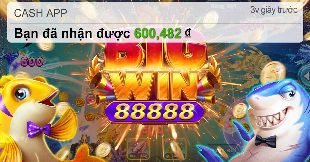betvdn